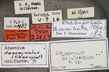 Media type: image;   Entomology 23554 Aspect: labels